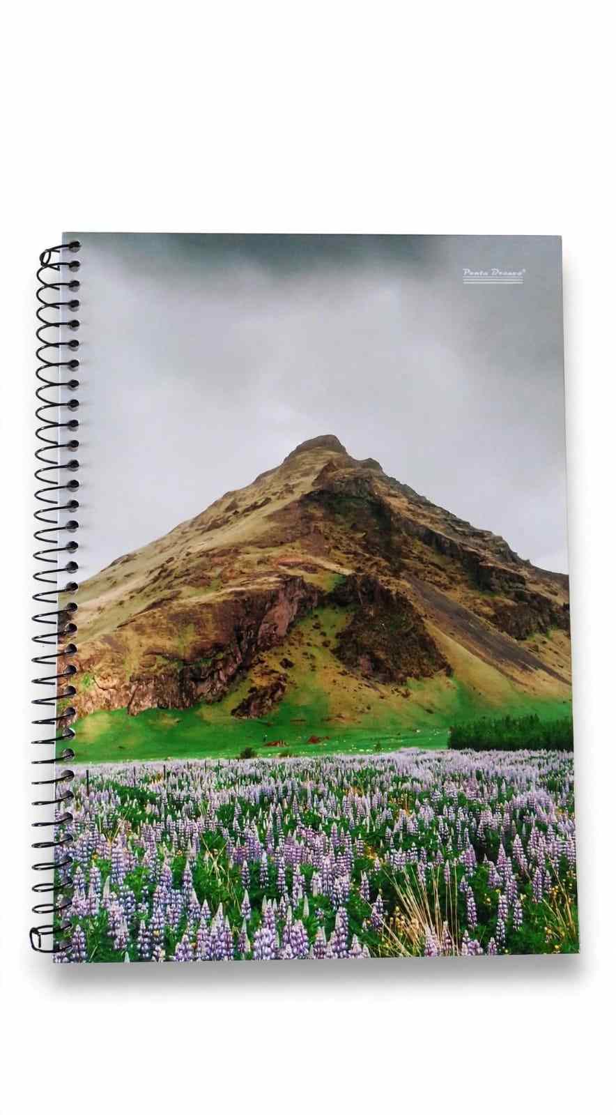 CADERNO 1X1 C.D. NEW